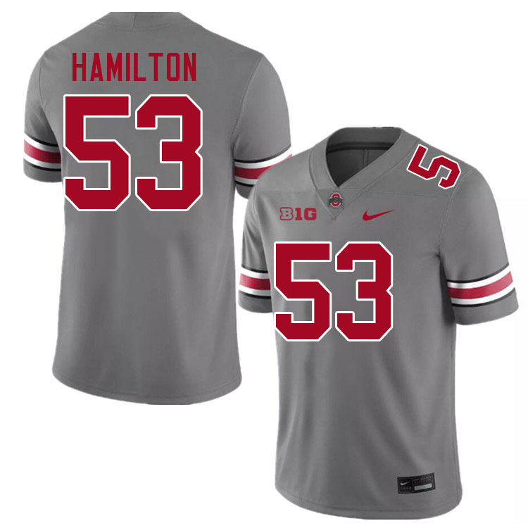 #53 DaVon Hamilton Ohio State Buckeyes Jerseys Football Stitched-Grey
